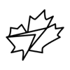 Image of Passive Countermeasures